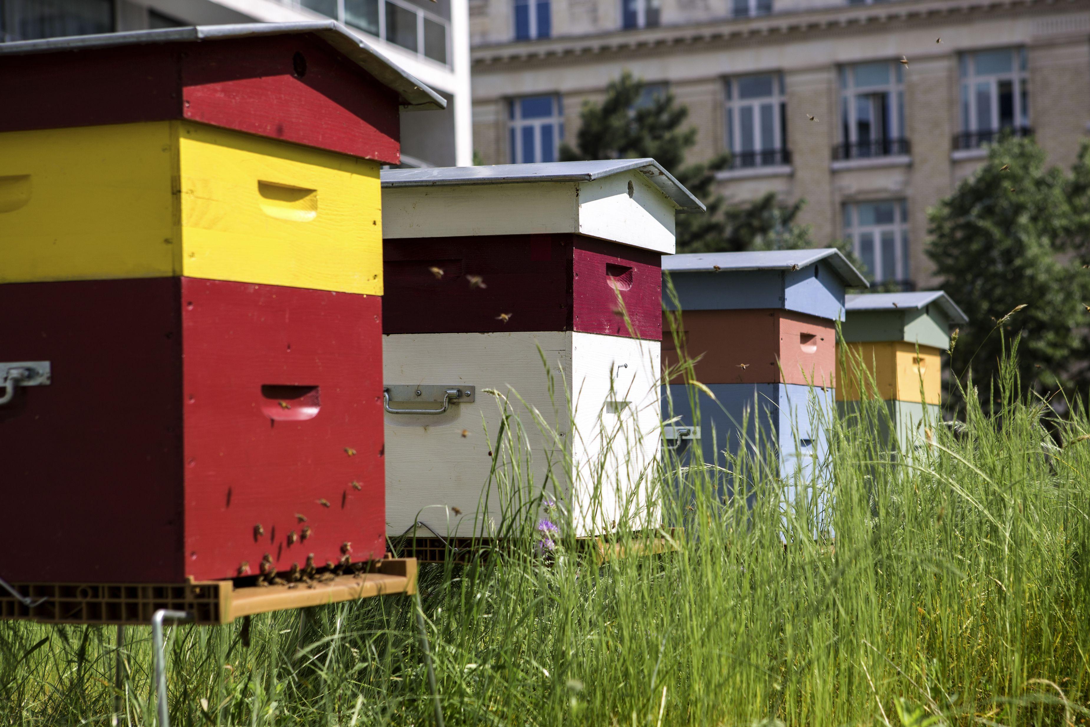 Pullman Tour Eiffel Parigi
